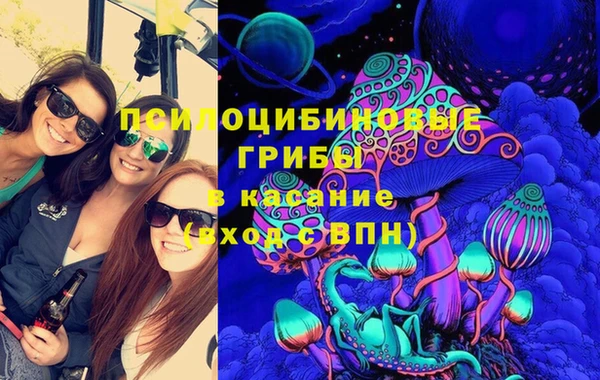 прущая мука Богородицк
