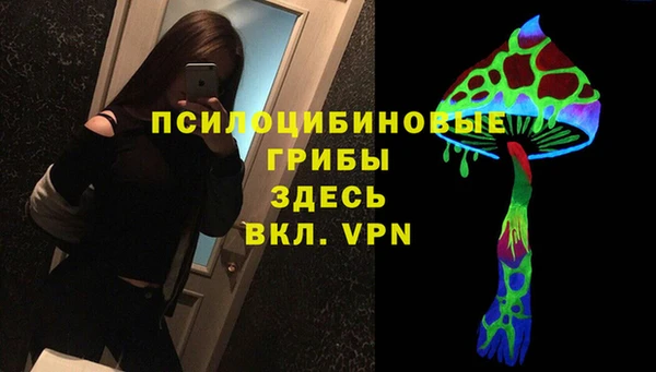 мдма Богородск